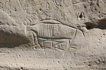 A buffalo at White Mountain Petroglyphs. Tom Rea photo. A buffalo at White Mountain Petroglyphs. Tom Rea photo.