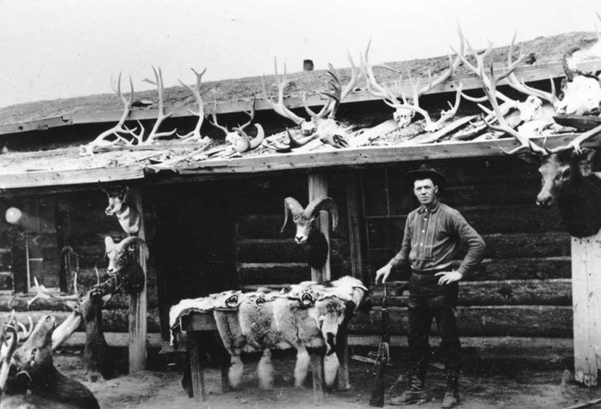 Ned Frost turned his market-hunting skills into a lucrative business guiding and outfitting paying sportsmen. Park County Archives. Ned Frost turned his market-hunting skills into a lucrative business guiding and outfitting paying sportsmen. Park County Archives.