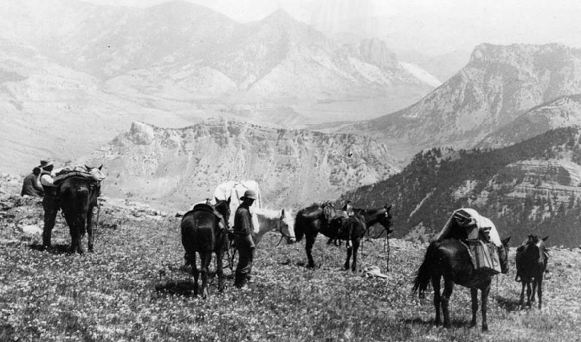 Getting hunters to remote places is a thrilling and taxing part of the job of guides and outfitters. Park County Archives. Getting hunters to remote places is a thrilling and taxing part of the job of guides and outfitters. Park County Archives.