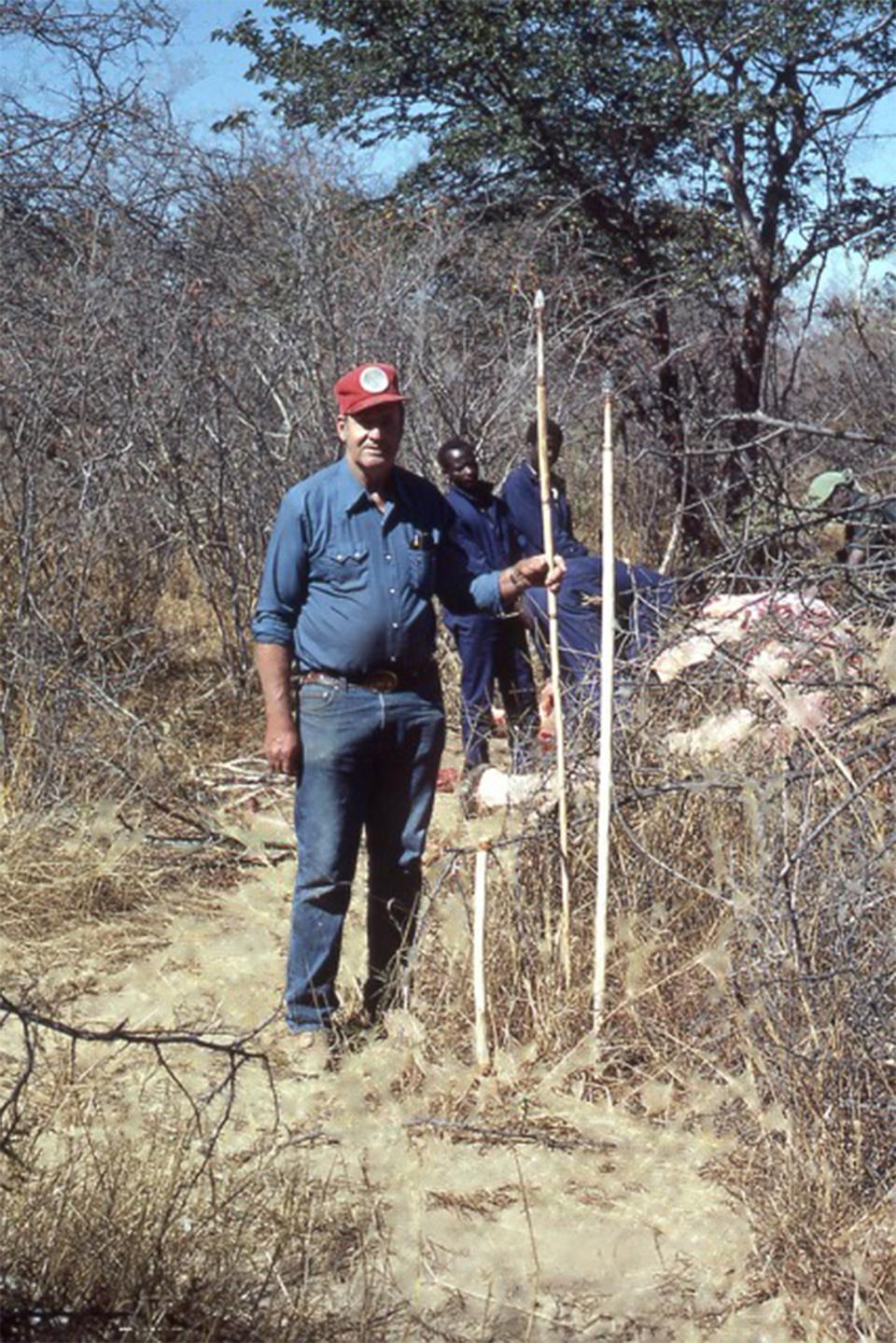 Frison traveled to Africa in the 1980s to test out the efficiency of stone tools in butchering recently killed elephants, in order to better understand how ancient people in the American high plains butchered mammoths. UW Anthropology Department.