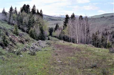 This short segment of abandoned roadbed is located on the east side of U.S. Route 16 south of the Hunter Creek Road in the Bighorn Mountains. A realignment of the highway cut off this piece in order to replace some of the sharper curves on the earlier road. Authors photo, 1988. This short segment of abandoned roadbed is located on the east side of U.S. Route 16 south of the Hunter Creek Road in the Bighorn Mountains. A realignment of the highway cut off this piece in order to replace some of the sharper curves on the earlier road. Authors photo, 1988.