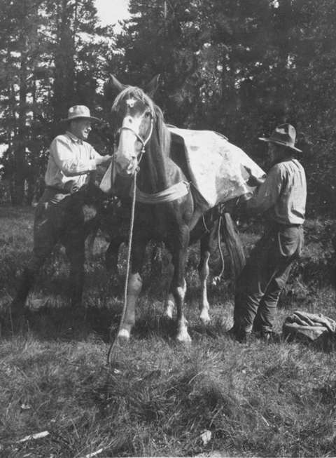 Facilitating backcountry travel is an essential duty of outfitters in hunting camps and on the trail. Park County Archives. Facilitating backcountry travel is an essential duty of outfitters in hunting camps and on the trail. Park County Archives.